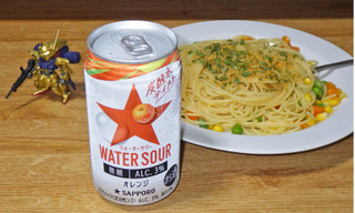 「サッポロ WATER SOUR オレンジ 缶350ml」のクチコミ画像 by 7GのOPさん