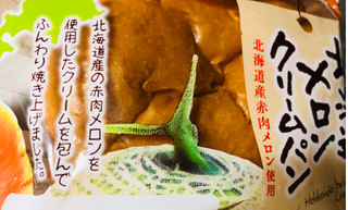 「KOUBO 北海道メロンクリームパン 袋1個」のクチコミ画像 by シナもンさん