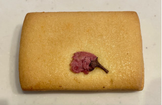 「無印良品 桜のクリームサンドクッキー 袋1個」のクチコミ画像 by パン太郎さん