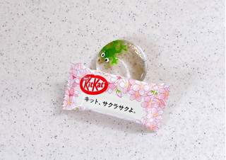 キットカット サクラサク桜味 ﻿63k - ネスレ キットカット