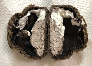 「オランジェ オレオ クッキー＆北海道練乳クリームのシュークリーム 袋1個」のクチコミ画像 by SANAさん