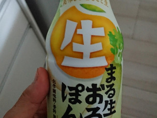 ヤマサ　まる生ぽん酢　てぬぐい Amazon.co.jp: ヤマサ まる生ぽん酢 360ml : ホーム＆キッチン