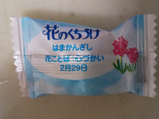 花のくちずけ 春日井製菓 - 商品一覧 - キャンディ - 花のくちづけ