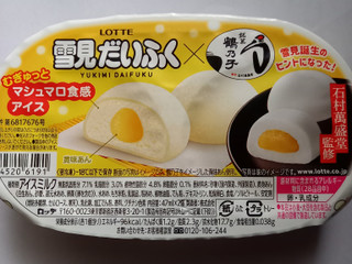 だいふく ルアーアクション】だいふく零｜使って楽しい！投げて巻くだけのトップ