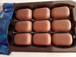 江崎グリコ メンタルバランスチョコレートGABA フォースリープ