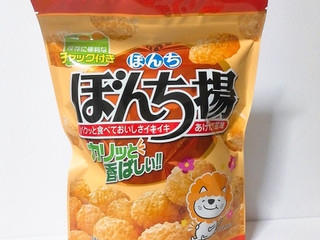 「ぼんち ぼんち揚 袋120g」のクチコミ画像 by ミヌゥさん