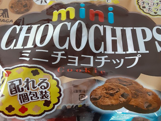 ミニチョコチップ大袋｜西友ネットスーパー｜楽天全国スーパー