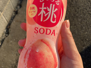 伊藤園 とろける桃ソーダ 450ml ペットボトル 24本入 炭酸飲料