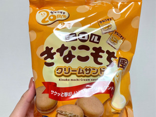 きなこもち　粘着パッド 粘着電極パッド 4枚入 - ニットクSHOP