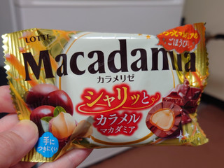 高評価】ロッテ マカダミアチョコレートポップジョイ カラメリゼのクチコミ一覧（1～20件）【もぐナビ】