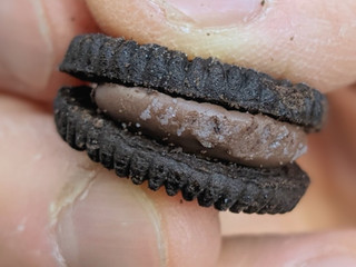 「ナビスコ オレオ ビッツサンド チョコクリーム 袋60g」のクチコミ画像 by choroさん