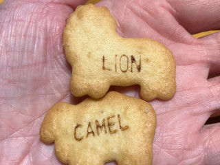 「ギンビス たべっ子どうぶつ バター味 袋17g×5」のクチコミ画像 by くりくりたるとさん