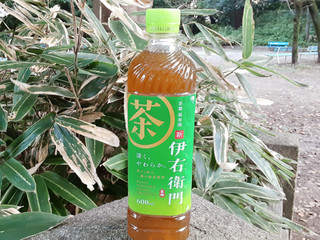 「サントリー 緑茶 伊右衛門 ペット600ml」のクチコミ画像 by つなさん