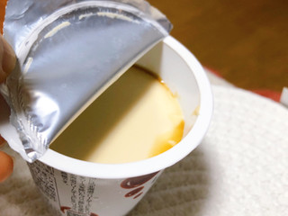 HOKUNYU Luxe レアチーズプリン ビターキャラメルソース