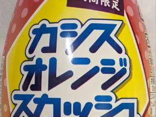 カシスオレンジさま専用 カシスオレンジ様専用 （カシスオレンジさま専用 甘酸っぱ