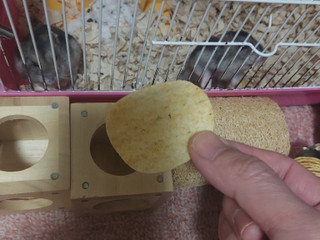 「YBC チップスターS スパイス＆ステーキ味 45g」のクチコミ画像 by ハムちゃんハムジさん