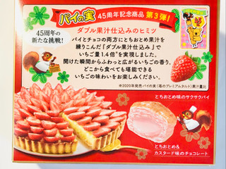 バイの実 Amazon | ロッテ パイの実 73g | Lotte | チョコレート 通販