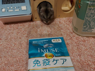 「KIRIN iMUSE グリーン ペット500ml」のクチコミ画像 by ハムちゃんハムジさん