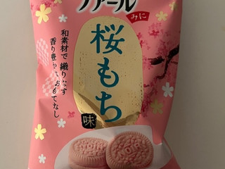 櫻もち様ご確認ページ もちまる日記 公式ホームページ