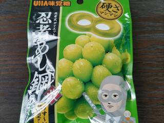UHA味覚糖 忍者めし鋼 マスカット味（ユーハ味覚糖）クチコミ3件