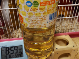 「サントリー GREEN DA・KA・RA やさしいコーン茶 ペット600ml」のクチコミ画像 by ハムちゃんハムジさん
