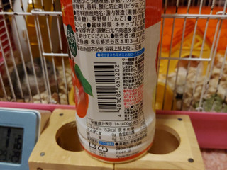 「伊藤園 ニッポンエール 長野県産 りんご三兄弟 ペット400g」のクチコミ画像 by ハムちゃんハムジさん