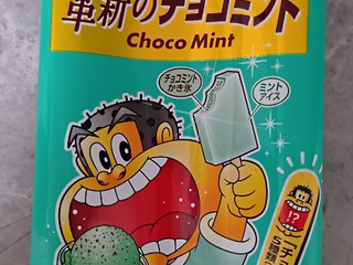 「赤城 ガリガリ君リッチ 革新のチョコミント 袋100ml」のクチコミ画像 by kopiさん