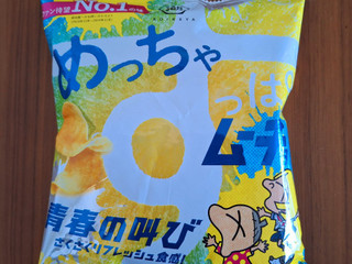 湖池屋めっちゃすっぱムーチョ青春の叫び　12個入り×３箱　合計36袋！　送料込み Amazon.co.jp: 湖池屋 めっちゃすっぱムーチョ 青春の叫び 58g