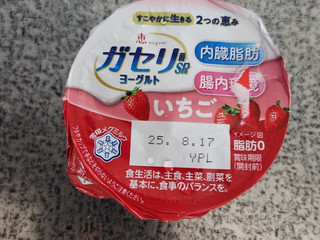 中評価】雪印メグミルク 恵 megumi ガセリ菌SP株ヨーグルト