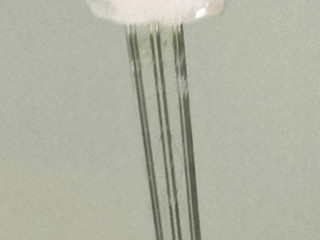 「ダノン ダノンビオ 腸活これだけ 贅沢ストロベリー カップ150g」のクチコミ画像 by おうちーママさん