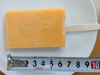 「赤城 大人なガリガリ君 完熟メロン 袋100ml」のクチコミ画像 by はるなつひさん