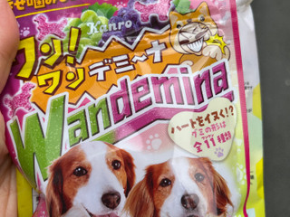 「カンロ ワンワンデミーナグミ 袋60g」のクチコミ画像 by 甘味かんみさん