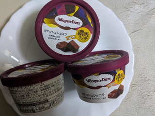 「ハーゲンダッツ ミニカップ ガナッシュショコラ カップ110ml」のクチコミ画像 by まこぴーさん