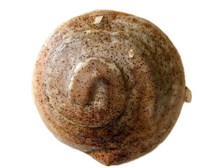 「セブン-イレブン カプチーノ仕立てのシナモンロール」のクチコミ画像 by む チ ャさん