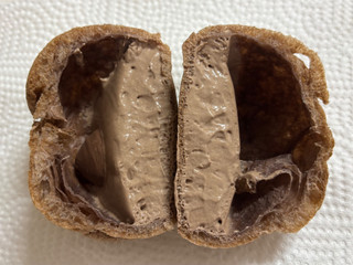 「モンテール 小さな洋菓子店 HERSHEY’S生チョコシュークリーム」のクチコミ画像 by SANAさん