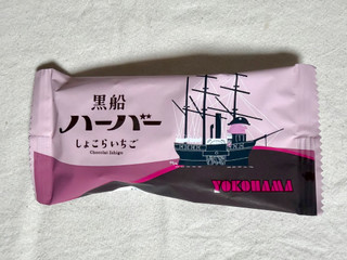 「ありあけ 黒船ハーバー しょこらいちご 5個」のクチコミ画像 by む チ ャさん