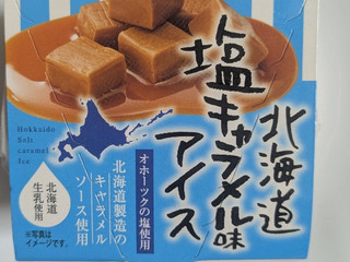 「あいすの家 北海道塩キャラメル味アイス」のクチコミ画像 by まこぴーさん