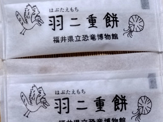「福井県立恐竜博物館 オリジナル 羽二重餅 箱12枚」のクチコミ画像 by みやちこ先生さん