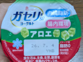 「雪印メグミルク 恵 megumi ガセリ菌SP株ヨーグルト アロエ カップ100g」のクチコミ画像 by まっちゃまろさん