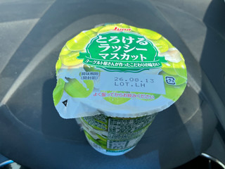 「日本ルナ とろけるラッシー マスカット カップ230g」のクチコミ画像 by こつめかわうそさん