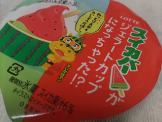 「ロッテ スイカバージェラートカップ カップ120ml」のクチコミ画像 by くくみやさん