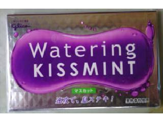 Watering Kiss Mint 潤いガム ピーチ 高評価】グリコ ウォータリングキスミントガム ピーチミントの感想