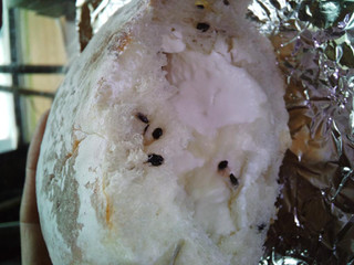「ヤマザキ おいしさ宣言 黒胡麻カマンベールチーズクリームパン 袋1個」のクチコミ画像 by TOMIさん