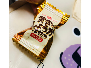 アサヒグループ食品 黄金のしょうがはちみつのど飴 喉飴 生姜 アサヒグループ食品 黄金のしょうがはちみつのど飴 喉飴 生姜