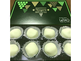 LeTAO ルタオ フルーティーな葡萄の生チョコ ナイアガラ ショコラブラン フレ