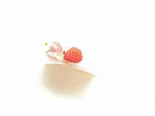 「イタリアン・トマト 桜のショートケーキ」のクチコミ画像 by いちごみるうさん