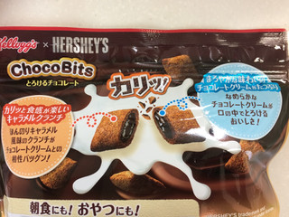 「HERSHEY’S チョコビッツ とろけるチョコレート 袋340g」のクチコミ画像 by SANAさん