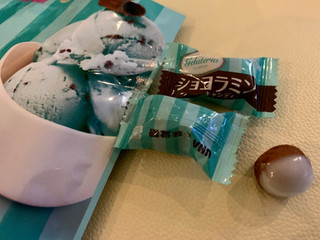 「UHA味覚糖 ジェラテリア ショコラミントキャンディ 袋80g」のクチコミ画像 by SweetSilさん