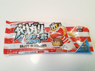 「赤城 ガリガリ君 スポーツドリンク味 ラグビー日本代表デザイン 袋110ml」のクチコミ画像 by MAA しばらく不在さん