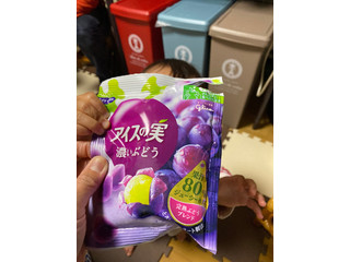 誕生から30年超「アイスの実」最新版と復刻版を食べ比べて進化を